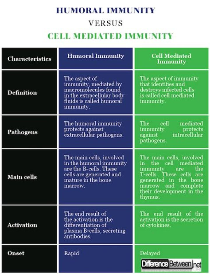 What is the difference between humoral immunity and cellular immunity