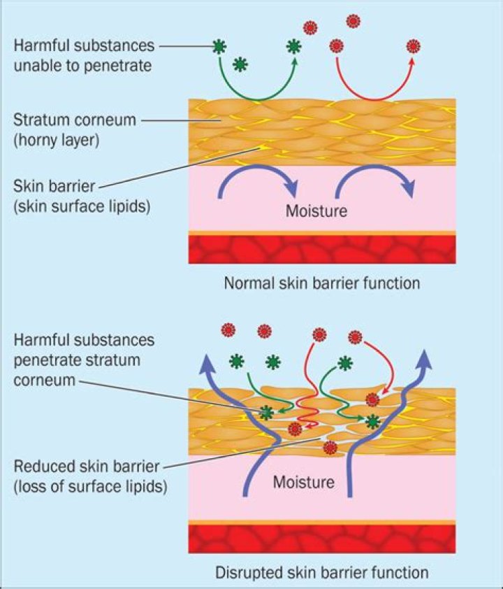 What is the difference between moisture barrier and Vapour barrier