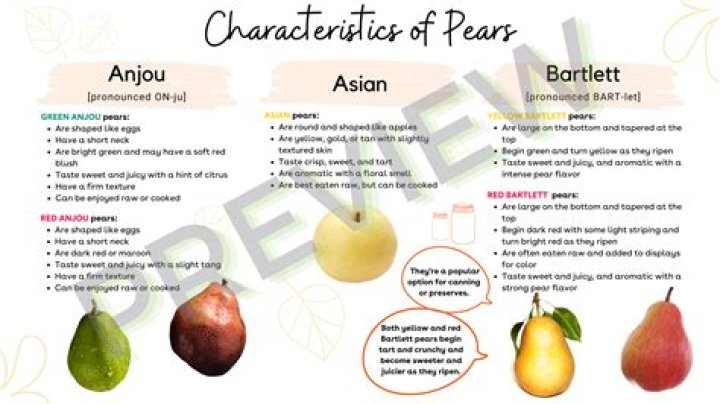 What is the difference between pears and Asian pears