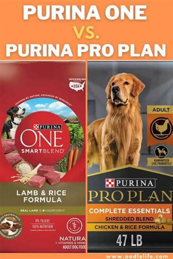 What is the difference between Purina One and Purina Pro Plan