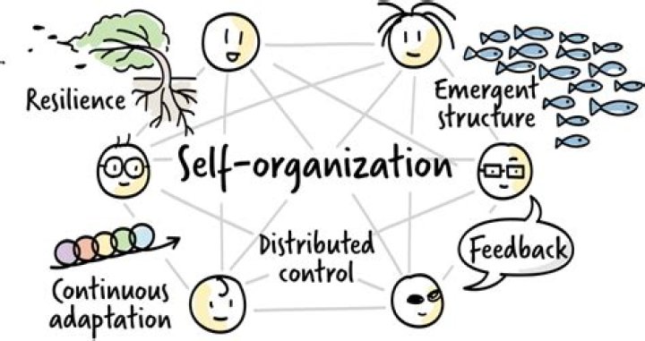 What is the downside of organizing teams around features