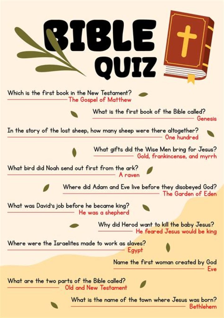What is the E source in the Bible