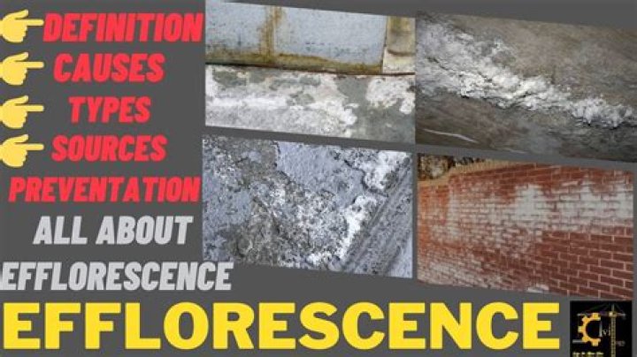 What is the effect of efflorescence on building