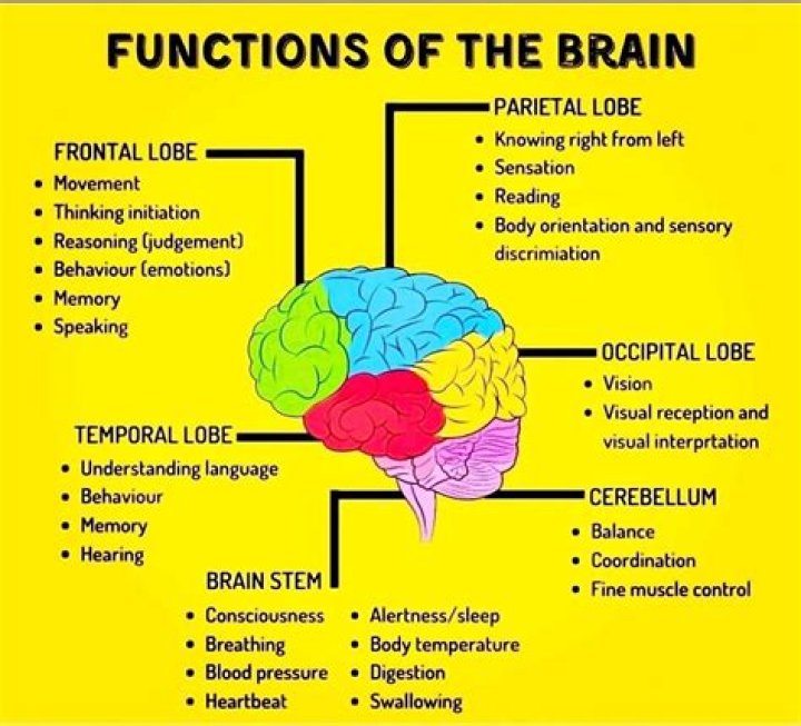 What is the function of the lead in