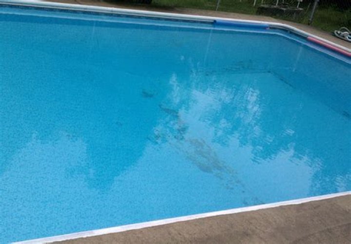 What is the green stuff on the bottom of my pool