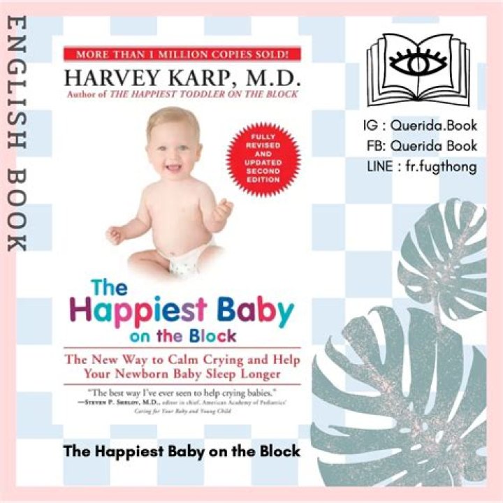 What Is The Happiest baby on the Block method