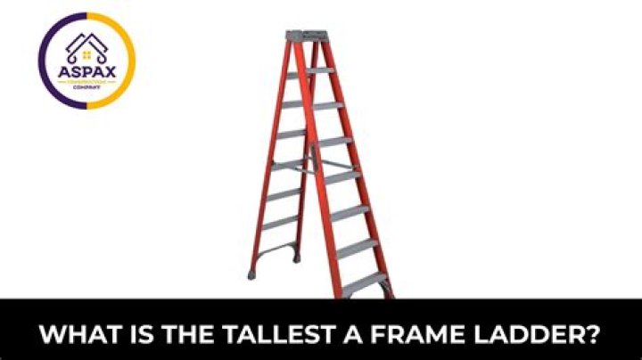What is the highest a frame ladder