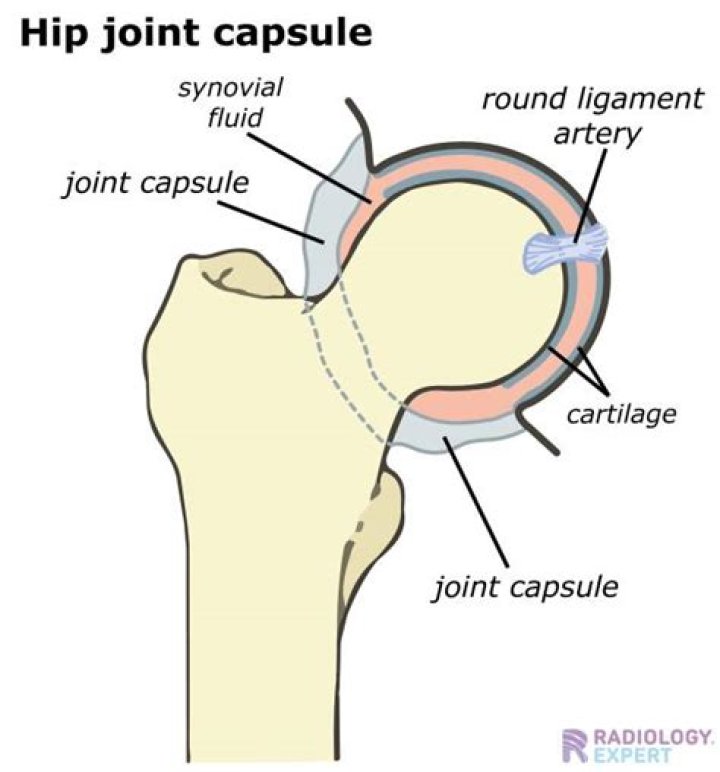 What is the hip capsular pattern