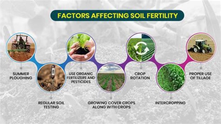 What is the ideal soil pH for crop production