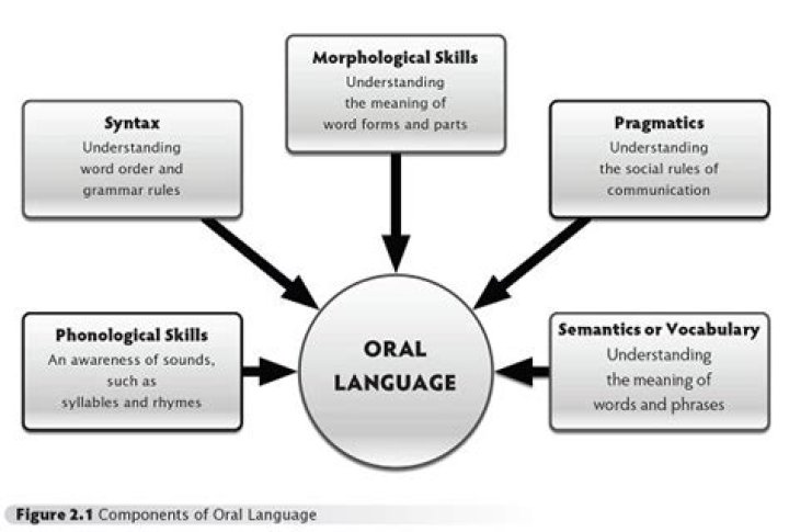What is the importance of students developing their phonological awareness