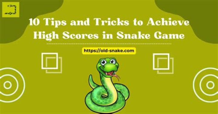 What is the javascript snake high score