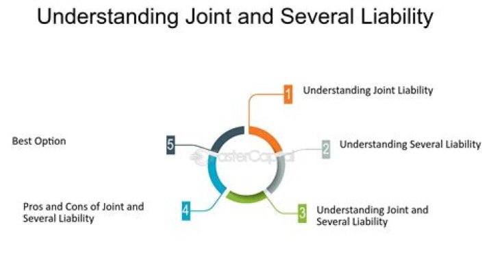 What is the joint and several liability concept