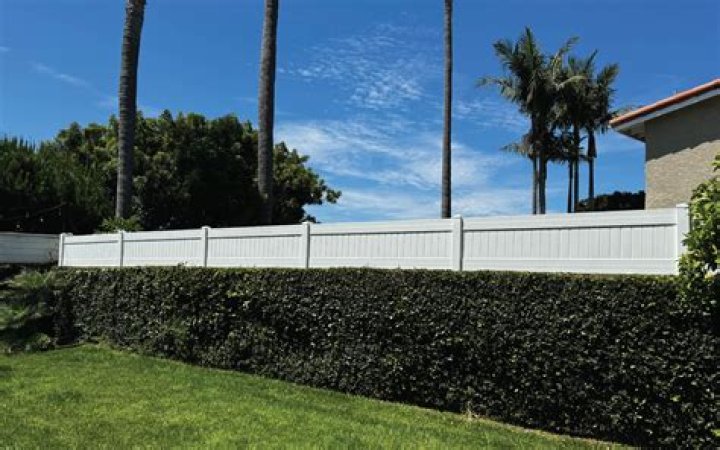 What is the least expensive fence to put up