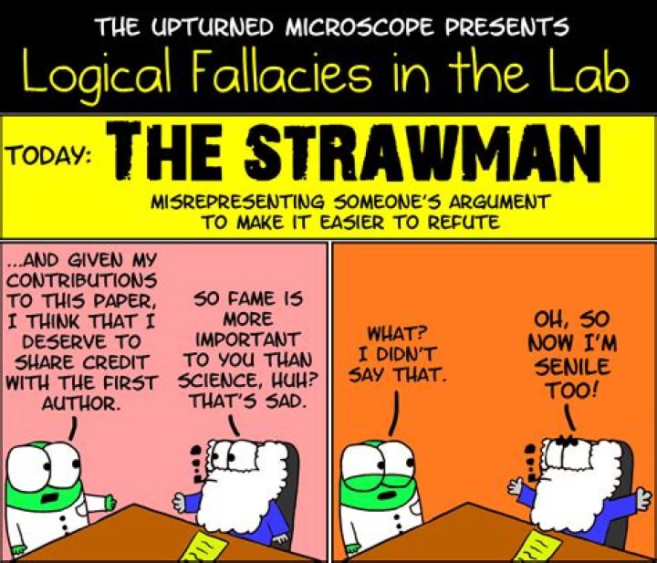 What is the logical fallacy strawman