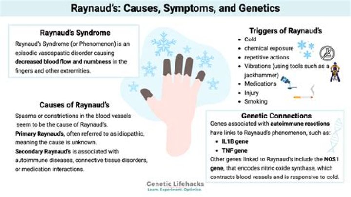 What is the main cause of Raynauds disease