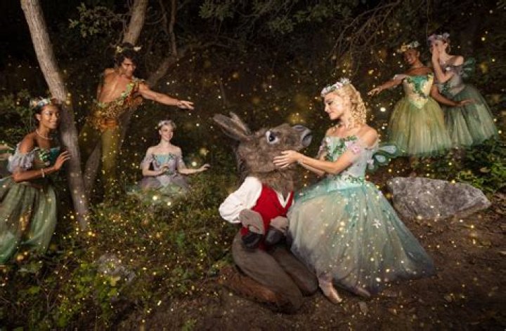 What is the main conflict of A Midsummer Nights Dream