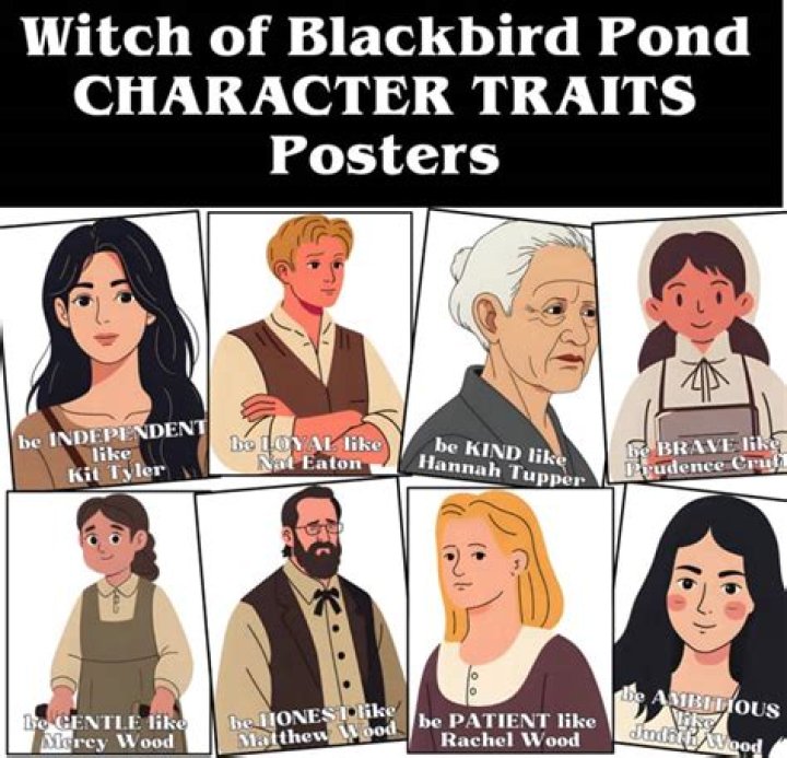 What is the main idea of the Witch of Blackbird Pond