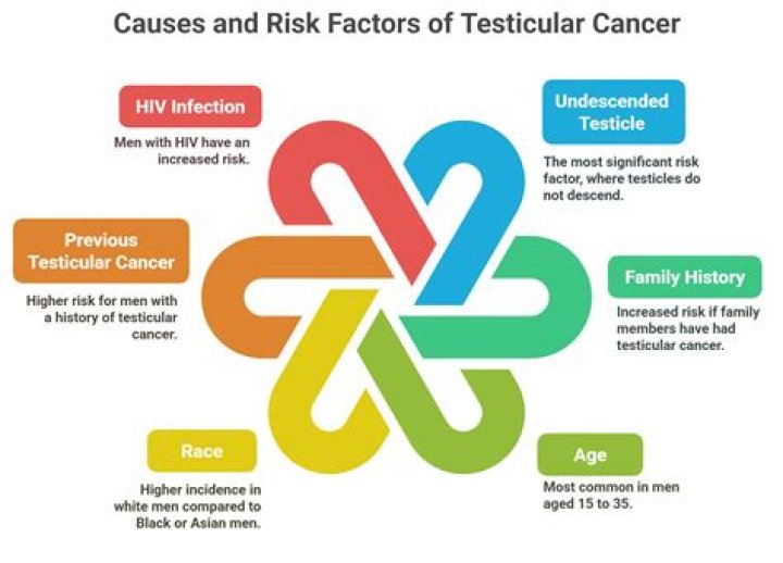What is the main risk factor for prostate and testicular cancer