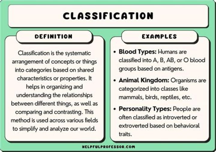What is the meaning of exemplification