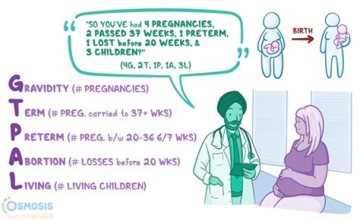 What is the meaning of Grade 1 maturity in pregnancy