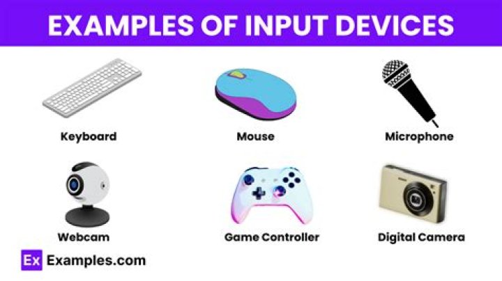What is the meaning of input devices