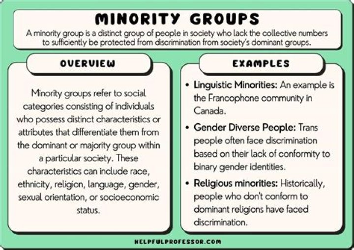 What is the meaning of minority leader