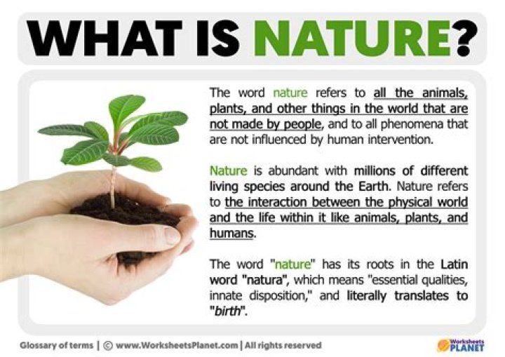 What is the meaning of nature of service