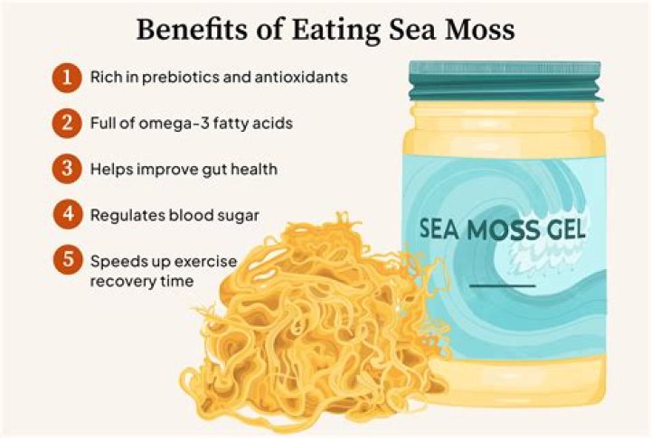 What is the meaning of sea moss
