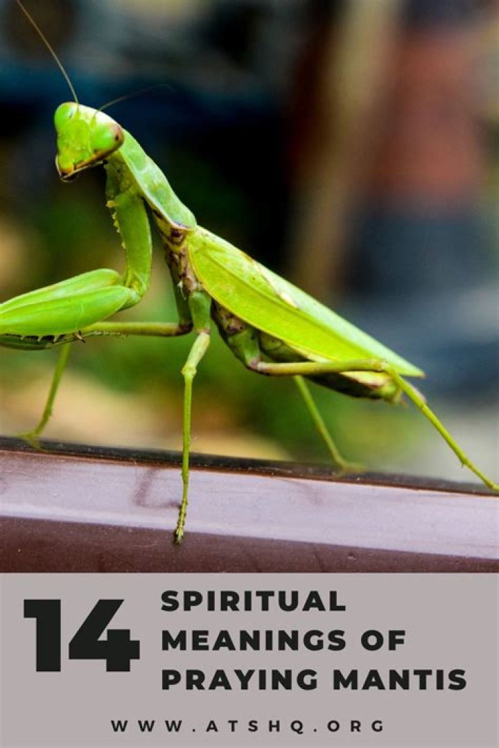 What is the meaning of waiting in the wings