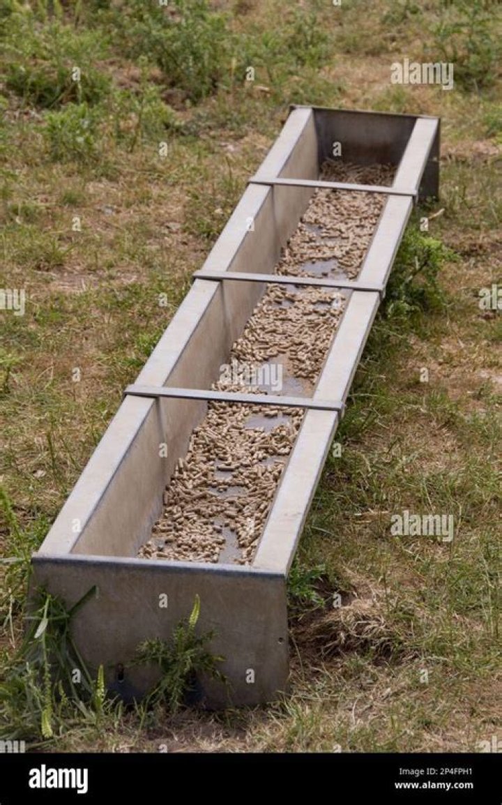 What is the meaning of water trough