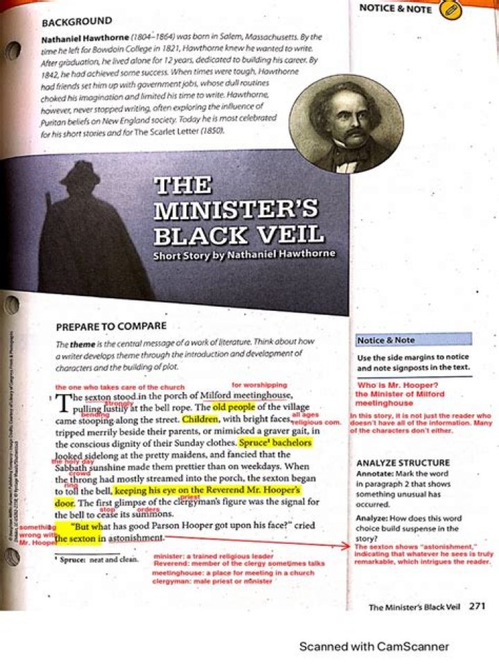 What is the message in The Ministers Black Veil