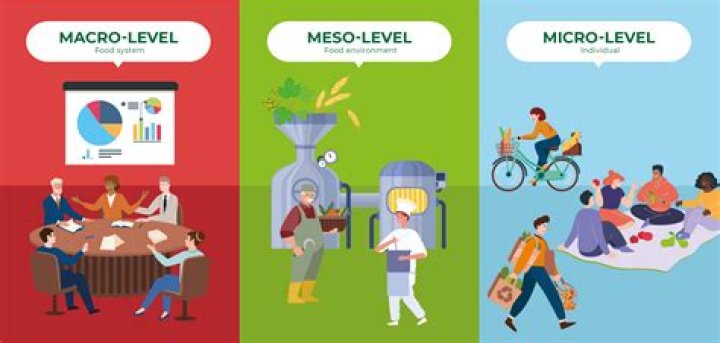 What is the micro level