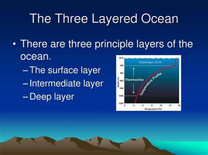 What is the middle layer of the ocean