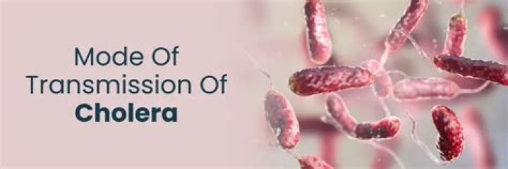 What is the mode of transmission of cholera