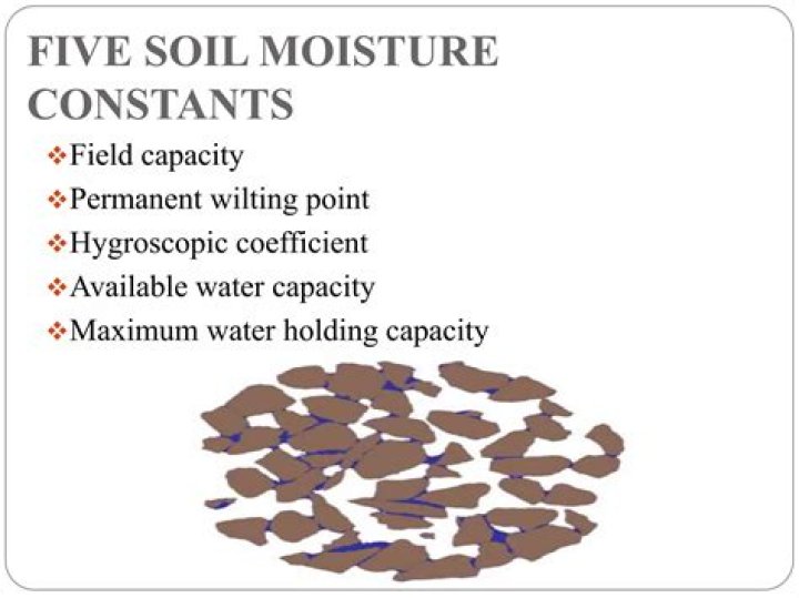 What is the moisture level of permanent wilting point