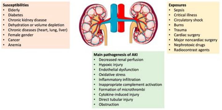 What is the most common cause of low potassium