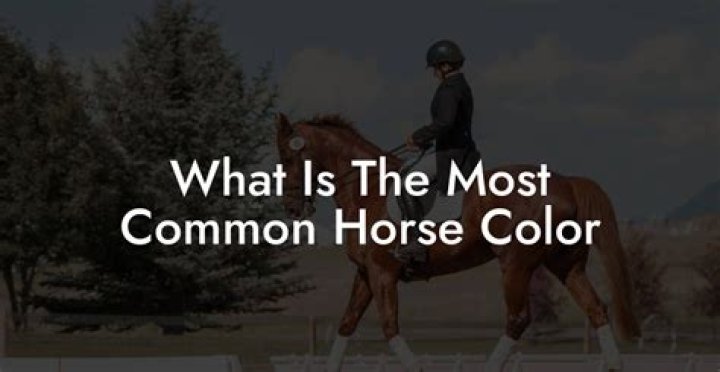 What is the most common horse color