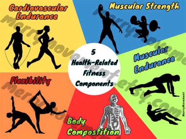 What is the most important component of health fitness