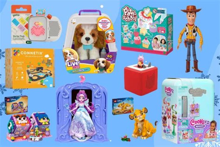 What is the most popular toy store
