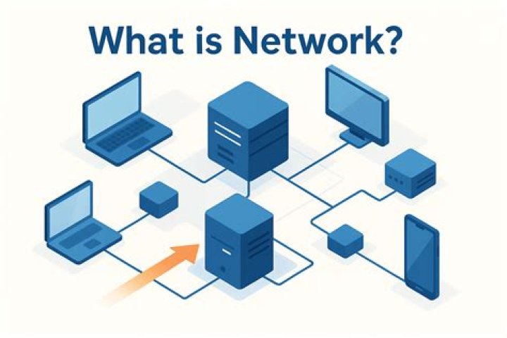 What is the network layer concerns with