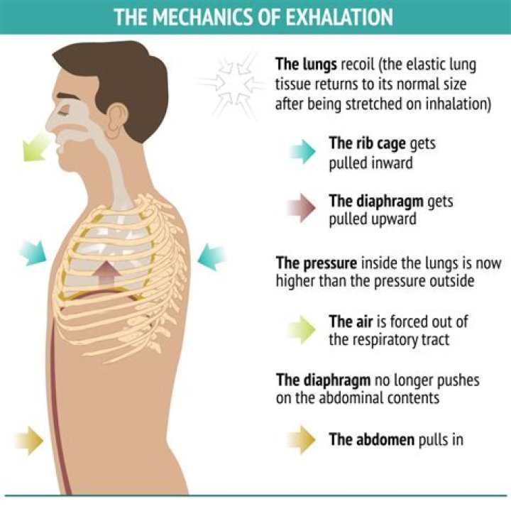 What is the normal exhalation passive
