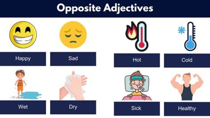 What is the opposite of ambulatory