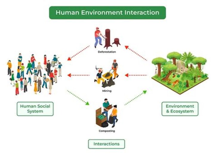 What is the person-in-environment approach