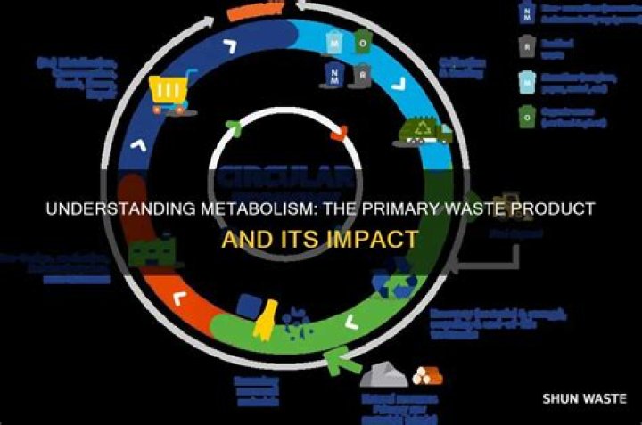 What is the primary waste product of metabolism