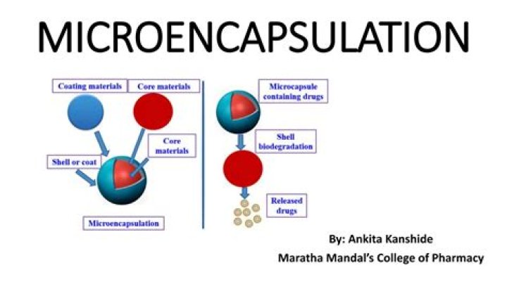 What is the process of encapsulation