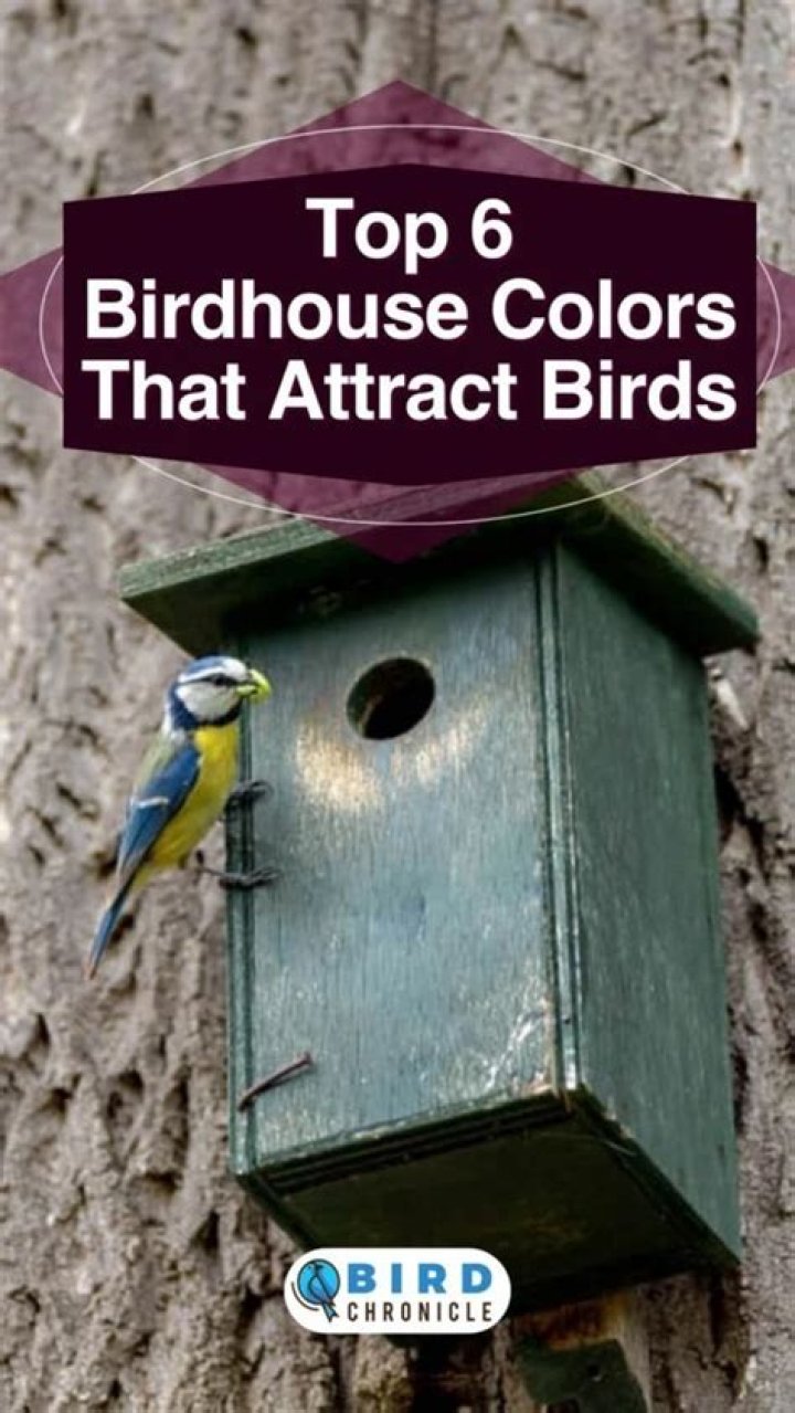 What is the purpose of bird houses