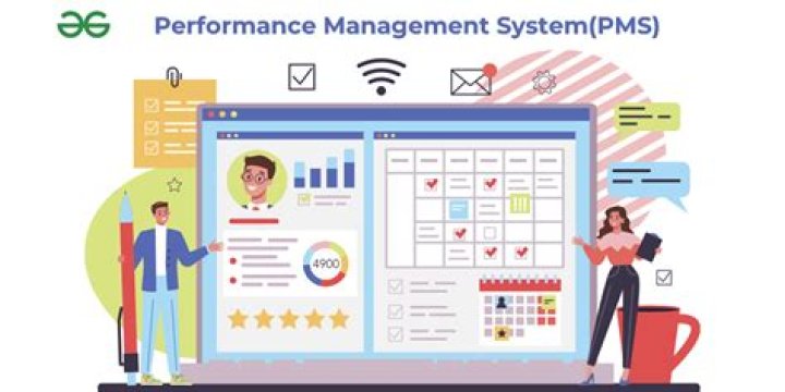 What is the purpose of performance management system