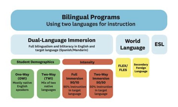 What is the purpose of the bilingual education program