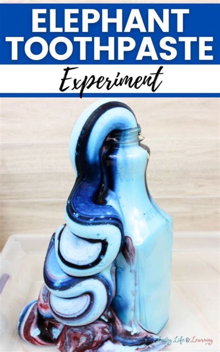 What is the purpose of the elephant toothpaste experiment