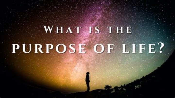What is the purpose of the embryo